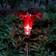 Exhart Solar Lily Ground Lighting 88.9cm