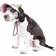 Petlife Botanic Bark Floral Uv Protectant Fashion Dog Hat Cap Medium