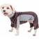Petlife Active Warm Pup S