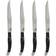 French Home Laguiole LG012 Knife Set
