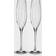 Waterford Elegance Optic Classic Champagne Flute, Set of 2 Flûte 29.8cl 2pcs