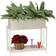 Household Essentials Resin Wicker Raised Double Plane 71.12x32.512x68.58cm