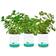 Back To The Roots Kitchen Herb Garden 3-pack