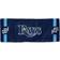 WinCraft Tampa Bay Rays Double-Sided Cooling Towel