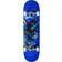 Primitive Collections Paul Rodriguez Eternity 8"