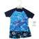 Hudson Baby Swim Rashguard Set - Dolphin (10325296)