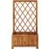 vidaXL Garden Raised Bed with Trellis Plantekasse