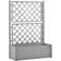 vidaXL Cultivation Box with Trellis Plantekasse