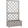vidaXL Growing Box with Trellis 11.811x27.559x53.15"