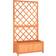 vidaXL Growing Box with Trellis 11.811x27.559x53.15"