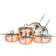 Viking Copper Clad Cookware Set with lid 10 Parts