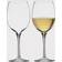 Waterford Elegance Pinot Grigio Wine Glass Set of 2 Verre à Vin 2pcs