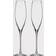 Waterford Elegance Champagne Classic Flute, Pair Copas de Champán 2pcs