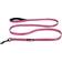 Alcott Adventure Leashes Large