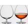 Waterford Elegance Brandy Glass Set of 2 Calice da Vino Rosso 2pcs