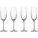 Luigi Bormioli Crescendo Champagne Glass 4pcs