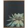 Kate and Laurel Succulent 8 Framed Art 45.7x61cm