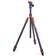 3 Legged Thing Winston 2.0 3-Section CF Tripod with AirHed Pro, Bronze/Blue