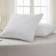 European Down Pillow (66.04x66.04cm)