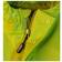 BMS HafenCity SoftSkin Jacket - Lime