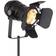 Globo Lighting Egon Spotlight