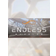The Endless Mission (PC)