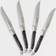 French Home Laguiole Connoisseur Steak Knife 25.4cm 4pcs