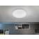 Eglo Trago Ceiling Flush Light