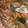 National Tree Company Autumn Wild Flower Wreath Wall Decor 22x3"