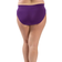 Dolfin Moderate Brief Swimsuit Bottom - Eggplant