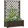 vidaXL Garden Planter with Trellis 16.929x39.37x55.906"