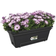 Elho Green Basics Trough XL Allin1 Box Krukke