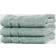 Cariloha Viscose 3-pack Kitchen Towel Blue (33.02x33.02)