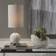 Uttermost Cascara Sea Shells Table Lamp 61cm