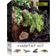 Exo Terra Habitat Rainforest/Starter Kit Small