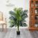 Nearly Natural 4ft. Golden Cane Palm Artificial Tree Artificial Plant