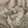 Madison Park Zuri Filt Beige (177.8x152.4cm)