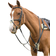 Shires Avignon Five Point Breastplate