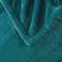 Beautyrest Heated Plush Blankets Blue (177.8x152.4cm)