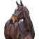 Horze Venice Soft Padded Bridle and Reins