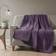 Beautyrest Heated Plush Blankets Purple (177.8x152.4cm)