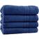 Modern Threads Spunloft Bath Towel Blue (137.16x76.2cm)