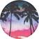 Popsockets Beach Trip