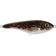 Strike Pro Buster Jerk 15cm Burbot