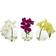 Nearly Natural Artificial Phalaenopsis Orchid Arrangement 3pcs Artificial Plant 3