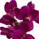 Nearly Natural Artificial Phalaenopsis Orchid Arrangement 3pcs Artificial Plant 3