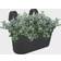 Elho Green Basics Easy Hanger Large 26.2x36.2x25.7cm