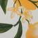 DII Lemon Bliss Dishcloth White, Yellow (71.12x45.72cm)