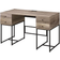 Acme Furniture Desirre Writing Desk 22x48"