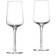 Zone Denmark Rocks Rom Drinksglas 21cl 2stk